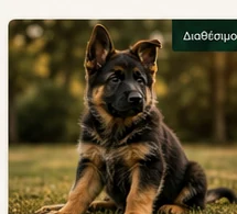 Ares