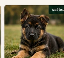 Milo