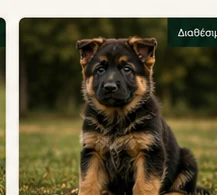 Nala